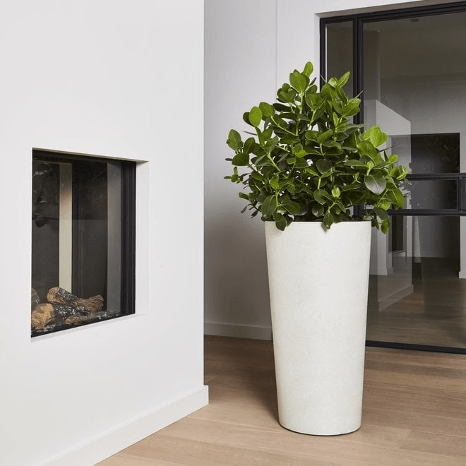 Blumenkübel - HomeDesign Knaus