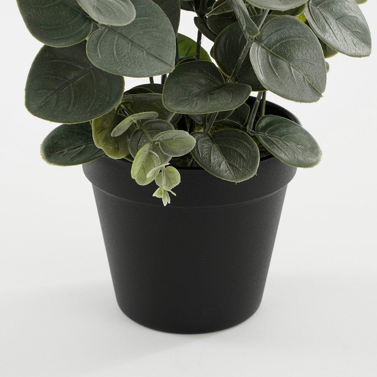 Künstliche Eukalyptuspflanze im Blumentopf – H53 x Ø23 cm – Grün