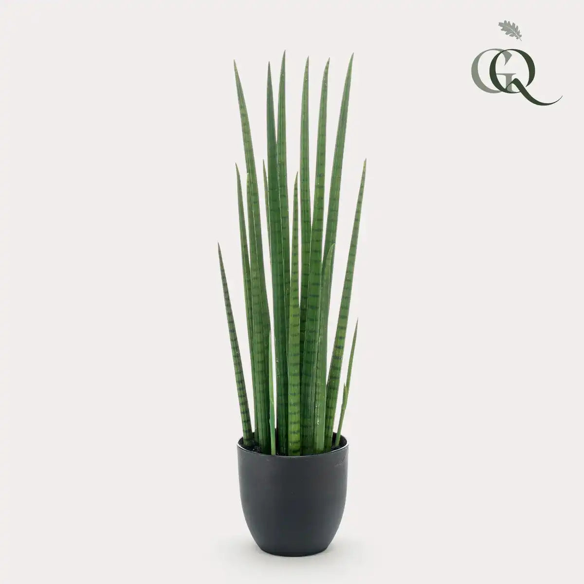 Kunstpflanze - Sanseveria Cylindrica - Frau Zunge - 70 cm