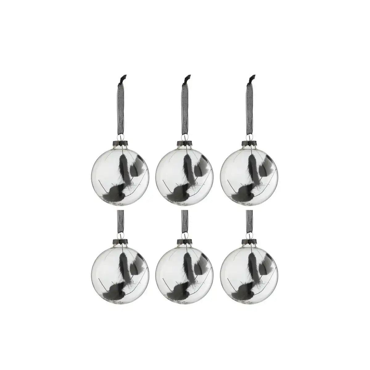 J-Line Box mit 6 Weihnachtskugeln, rund, getrockneter Hasenschwanz, schwarzes Glas, transparent, klein