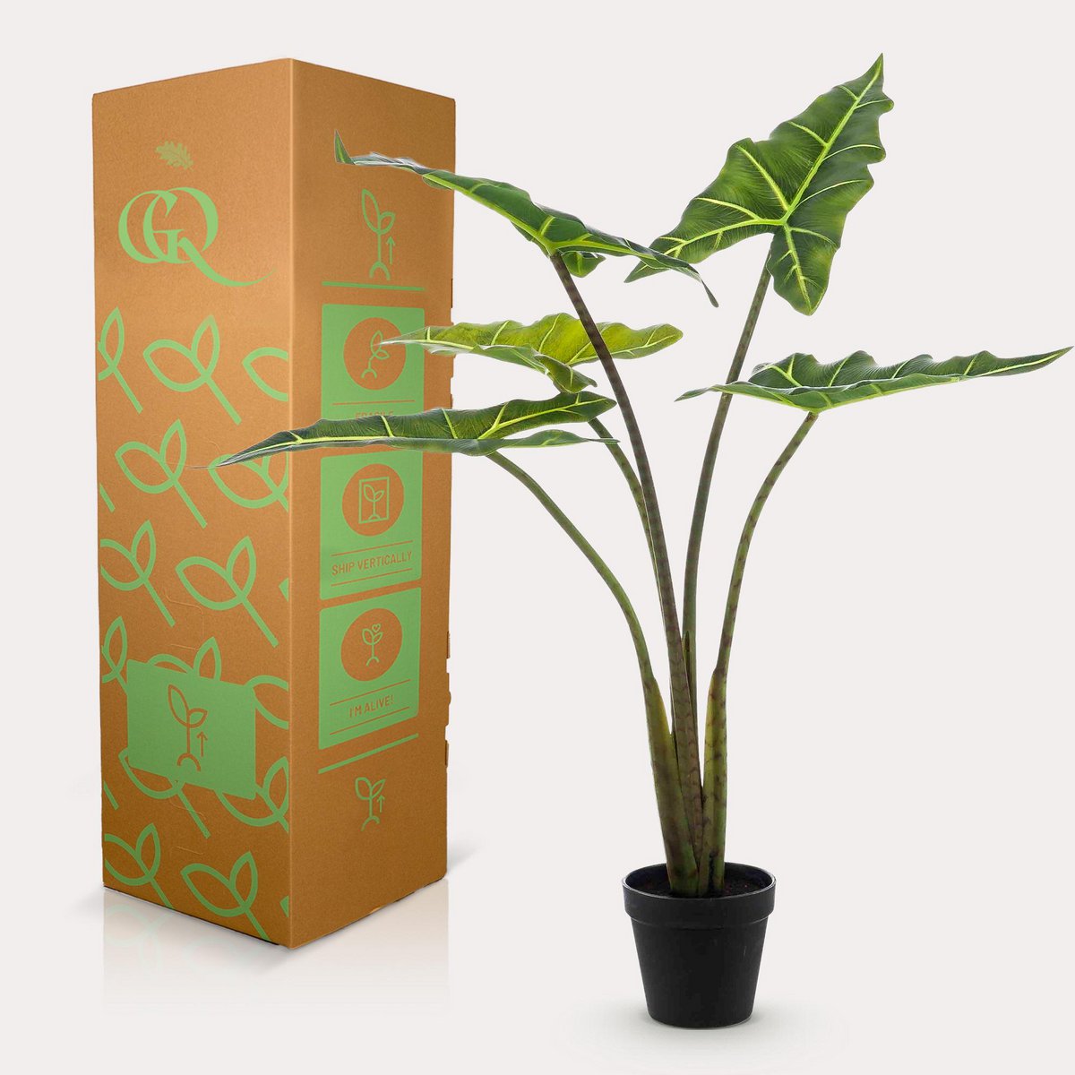 Kunstpflanze - Alocasia Frydek - Elefantenohr - 80 cm