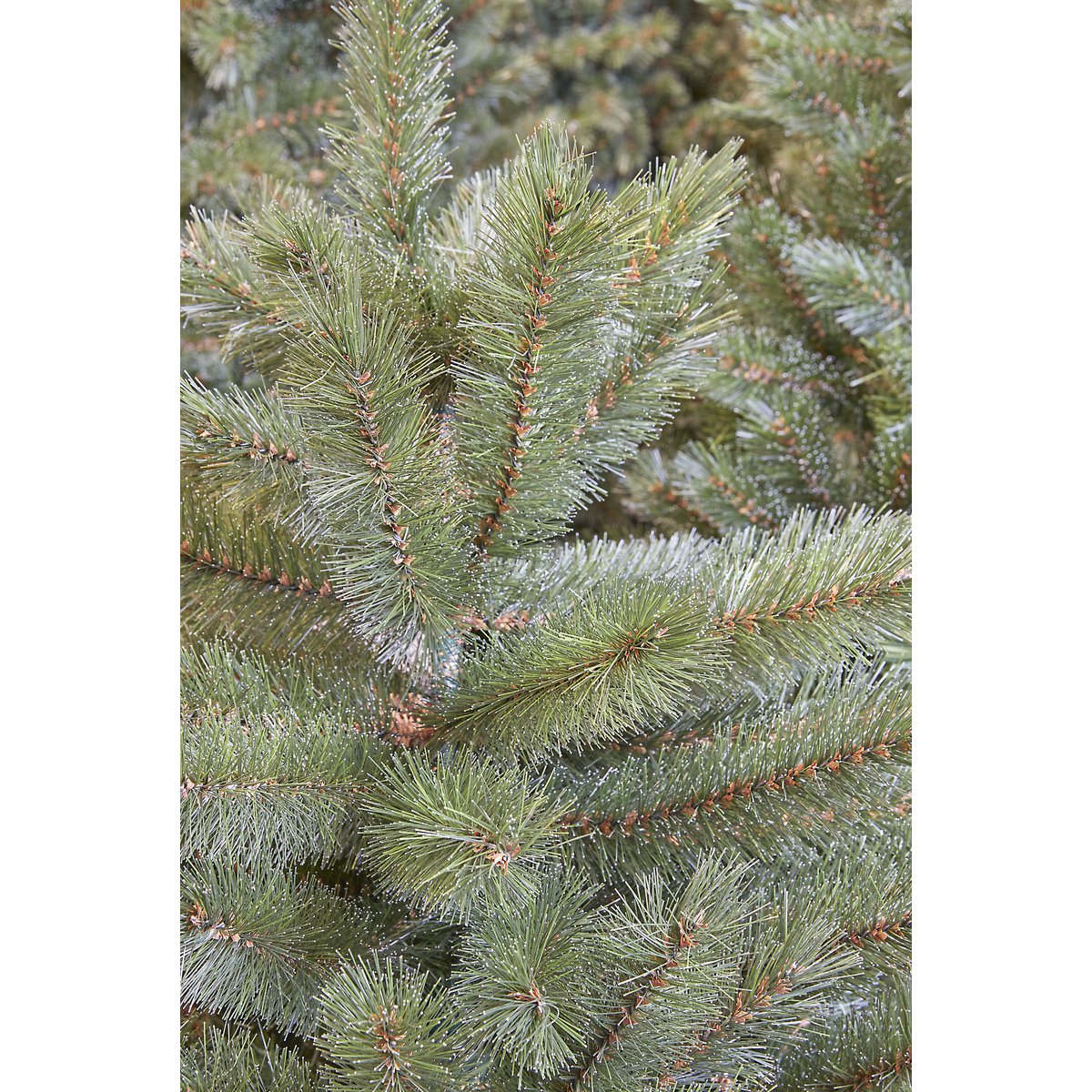 Premium Künstlicher Weihnachtsbaum – H260 x Ø168 cm – grün