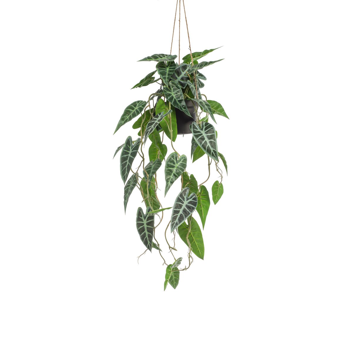 Kunstpflanze - Alokasie - Elefantenohr - 80 cm