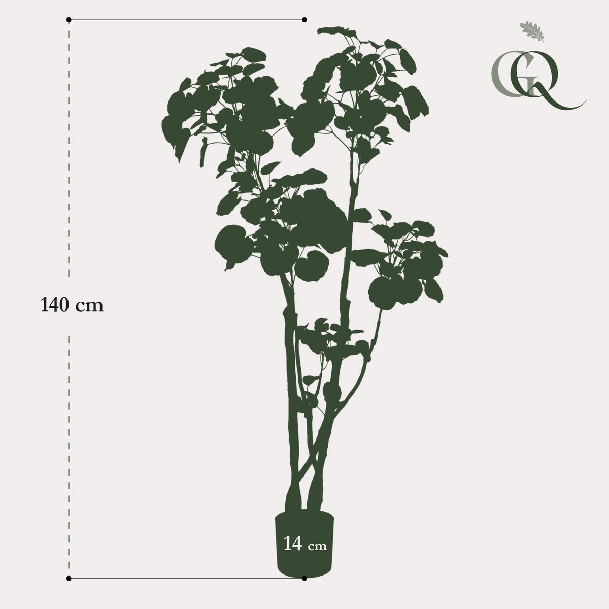Kunstpflanze - Polyscias - Aralia - 135 cm