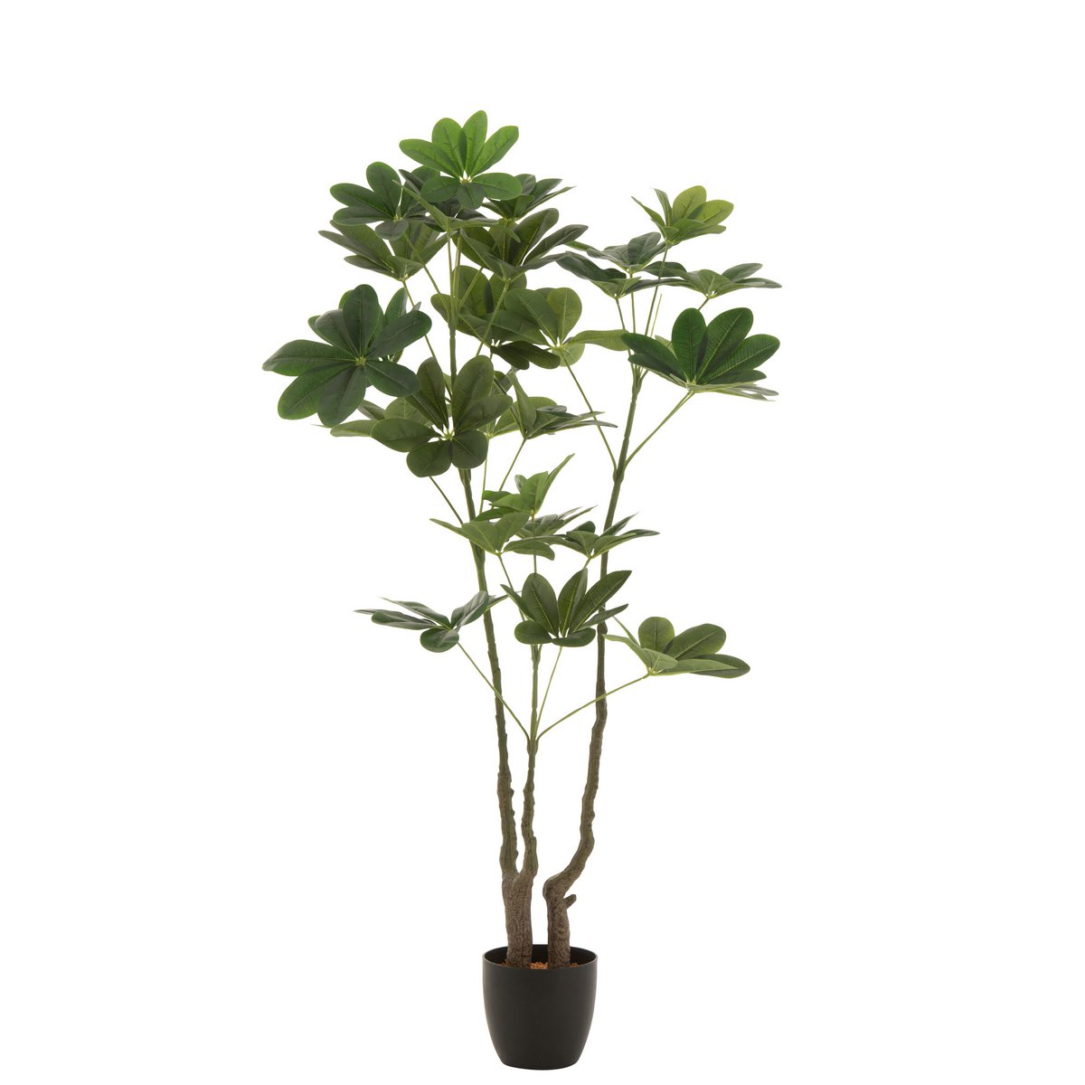 J-Line Money Tree in Topf Plastik Grün groß