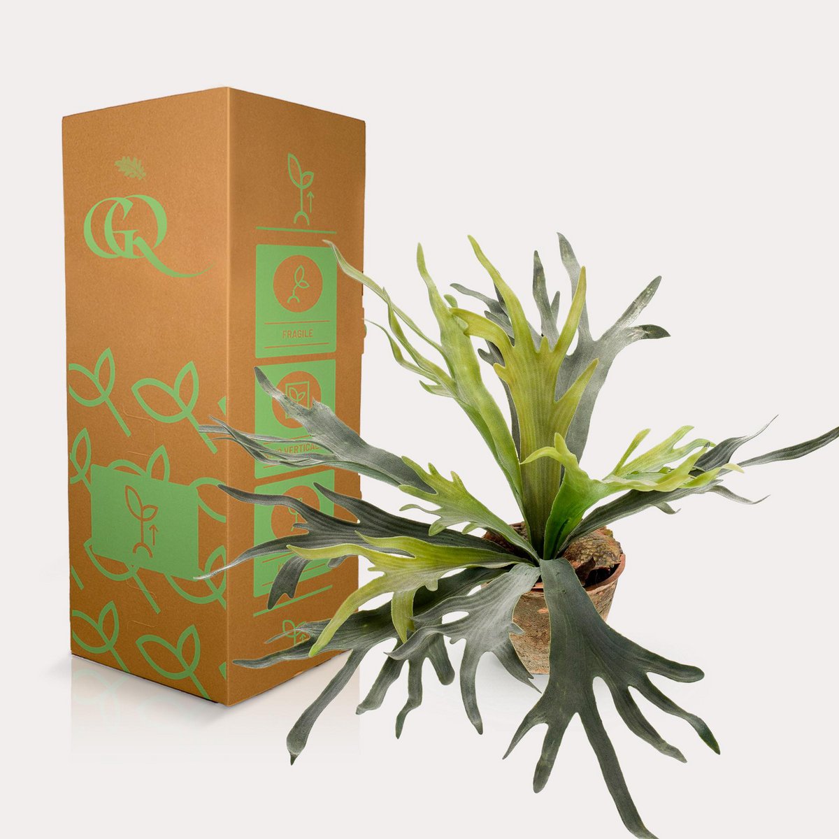 Kunstpflanze - Staghorn Fern - Hertshoorn - 50 cm