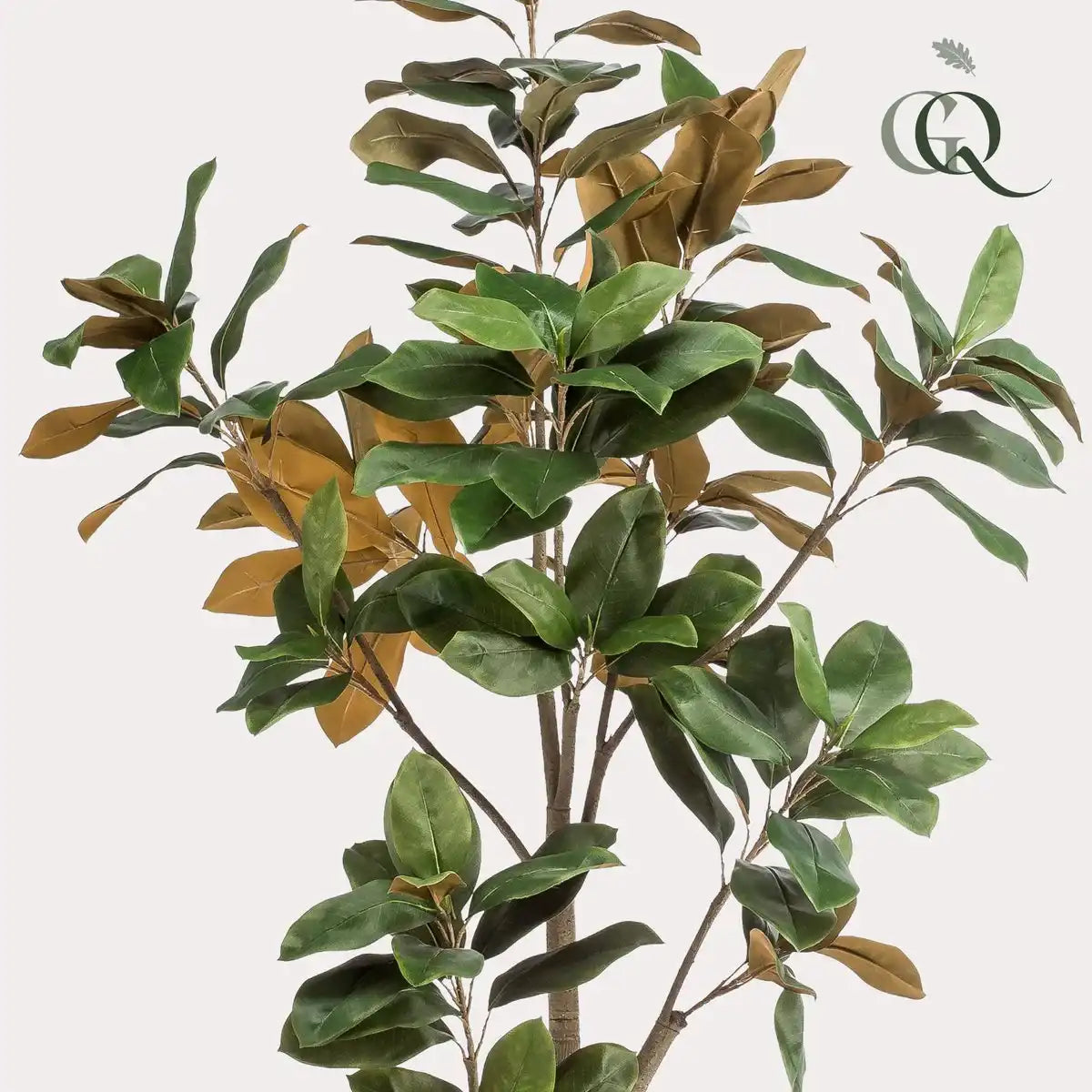 Künstliche Pflanze - Magnolia Grandiflora - 180 cm