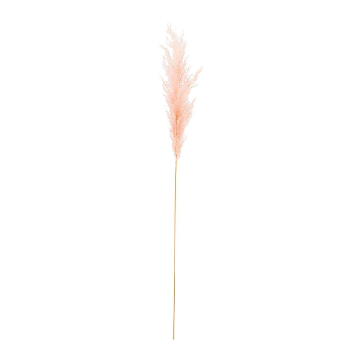 J-Line Branch Plume Pampas Hellrosa