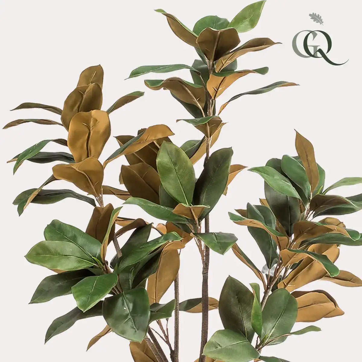 Künstliche Pflanze - Magnolia Grandiflora - 150 cm