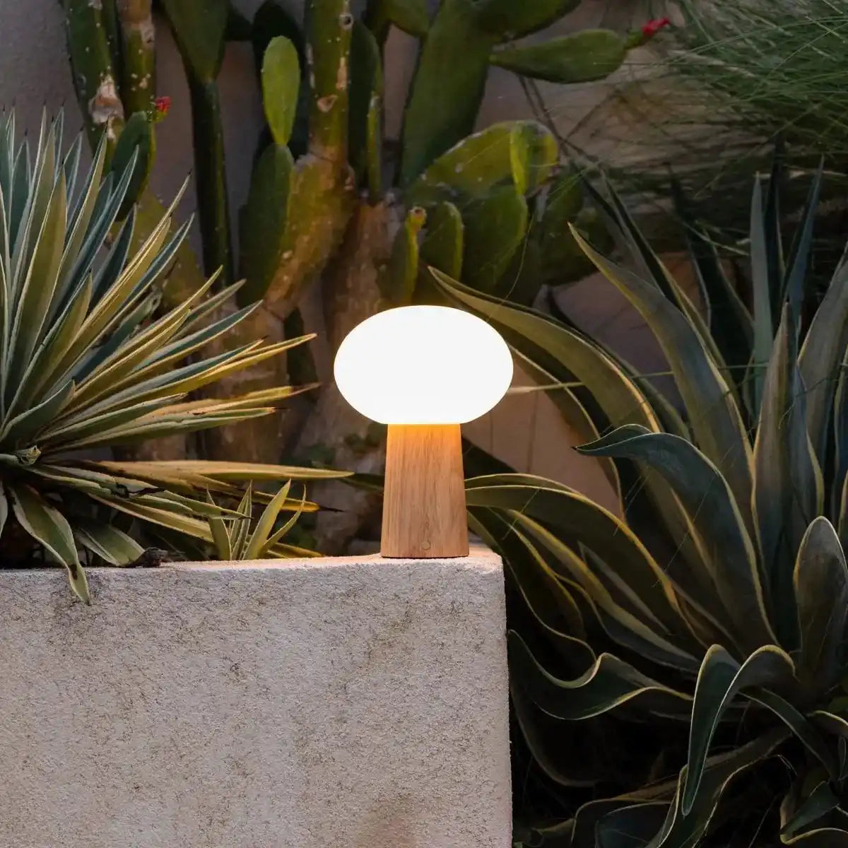 Max hellbraunes Holz wiederaufladbarer Tischlampe mit Glas & wiederaufladbarem Akku | Dimmbare und vielseitige Beleuchtung