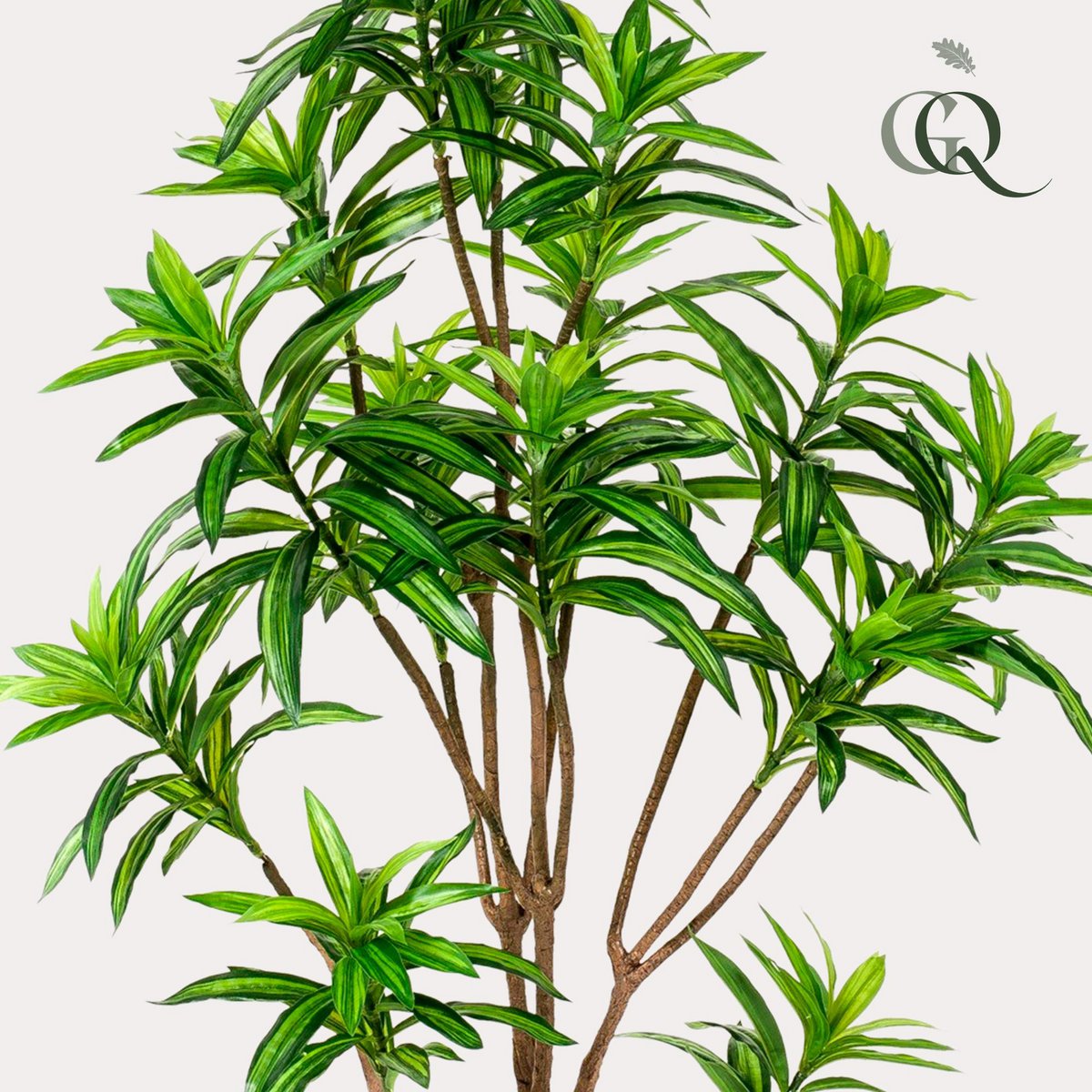 Künstliche Pflanze - Dracaena - Drachenbaum - 155 cm