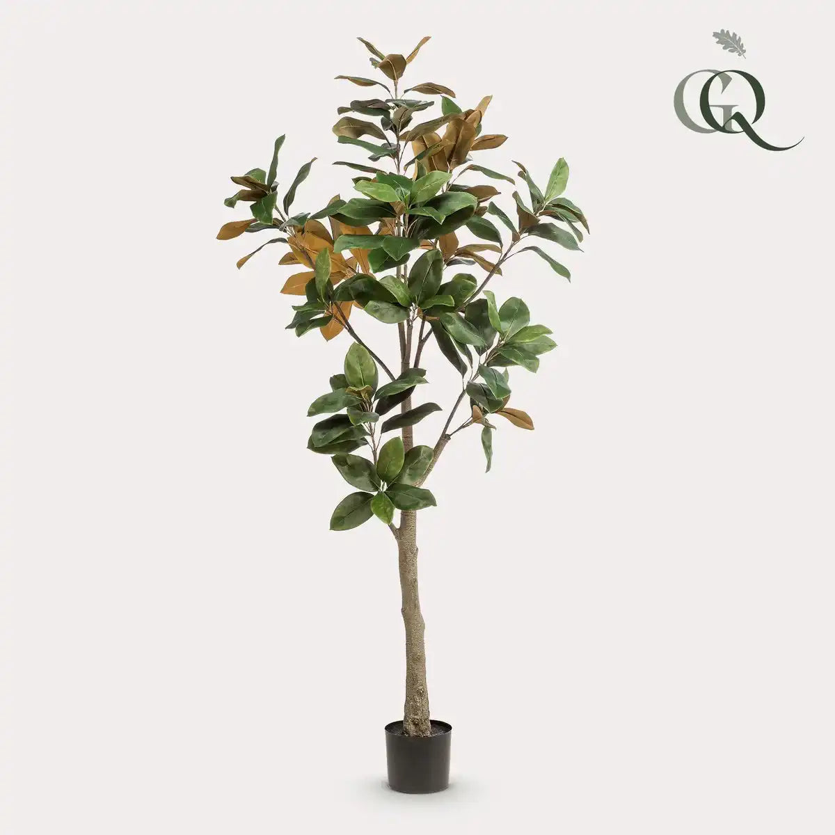Künstliche Pflanze - Magnolia Grandiflora - 180 cm