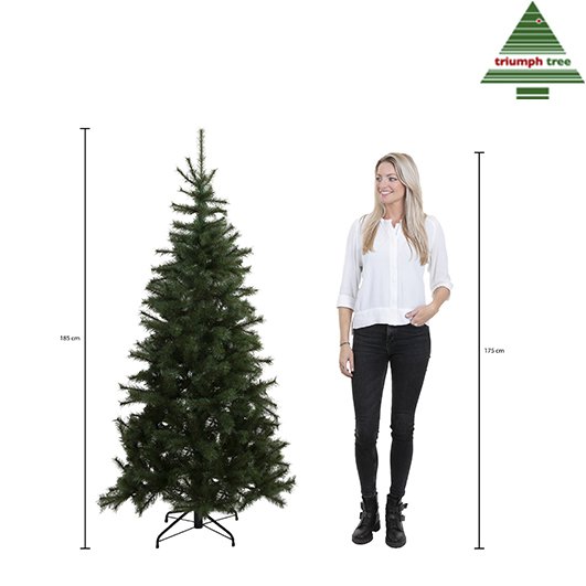 Forrester Künstlicher Weihnachtsbaum – H185 x Ø109 cm – Grün
