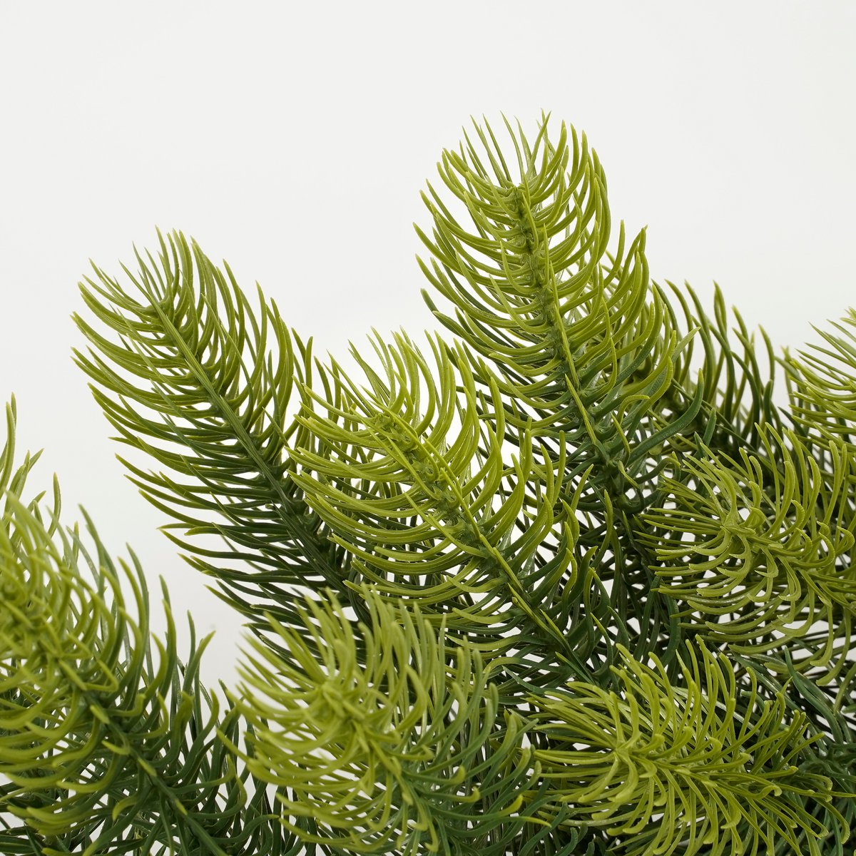 Nigata Garlande - L270 cm - Grün