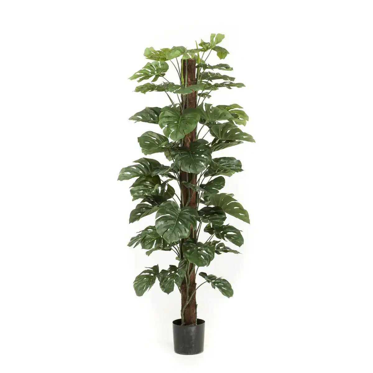 Monstera Deliciosa - Kunstpflanze - 180 cm