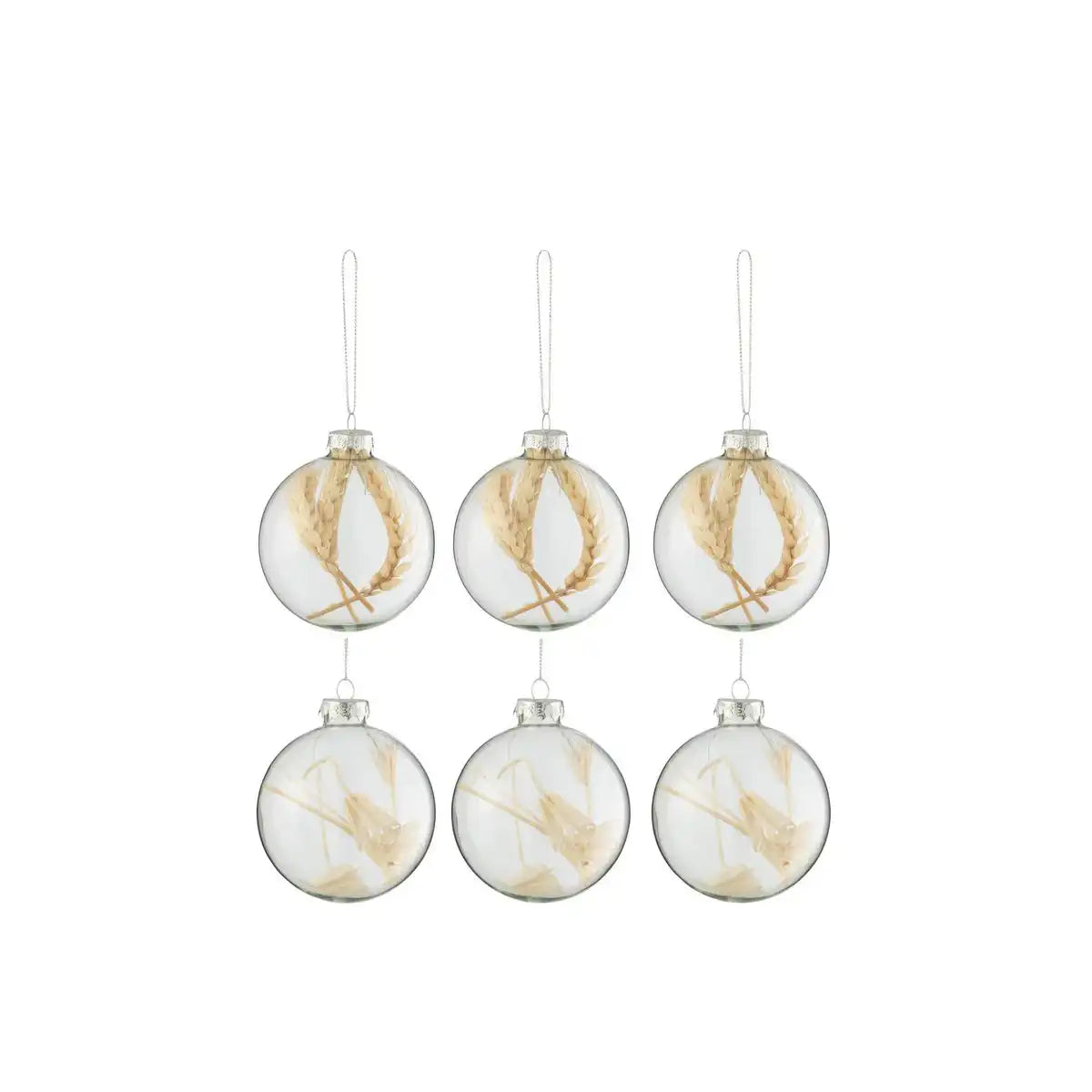 J-Line Box mit 6 Weihnachtskugeln, getrockneten Zweigen, beige, Glas, transparent, klein