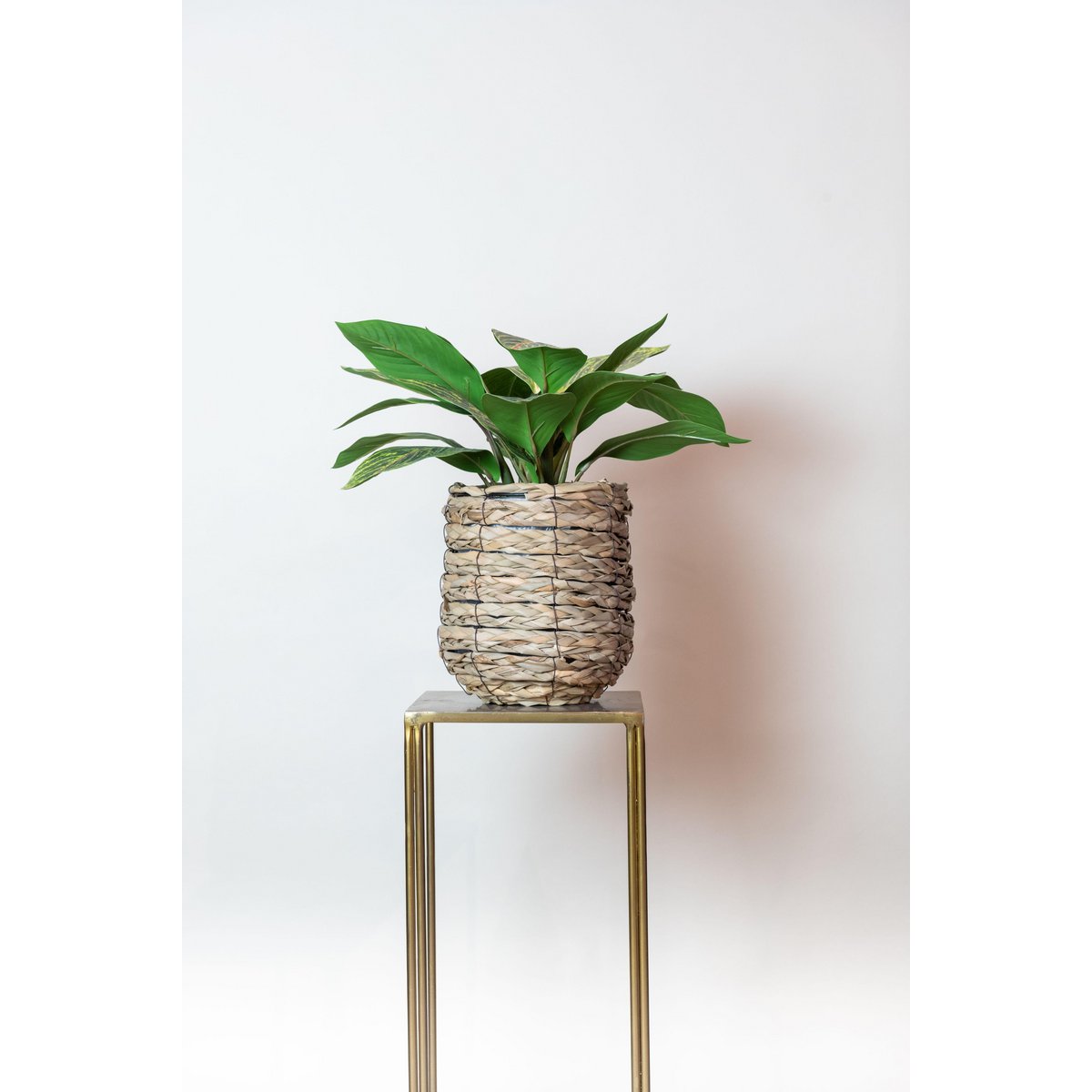 Kunstpflanze - Croton Codiaeum - Wonder Bush - 38 cm