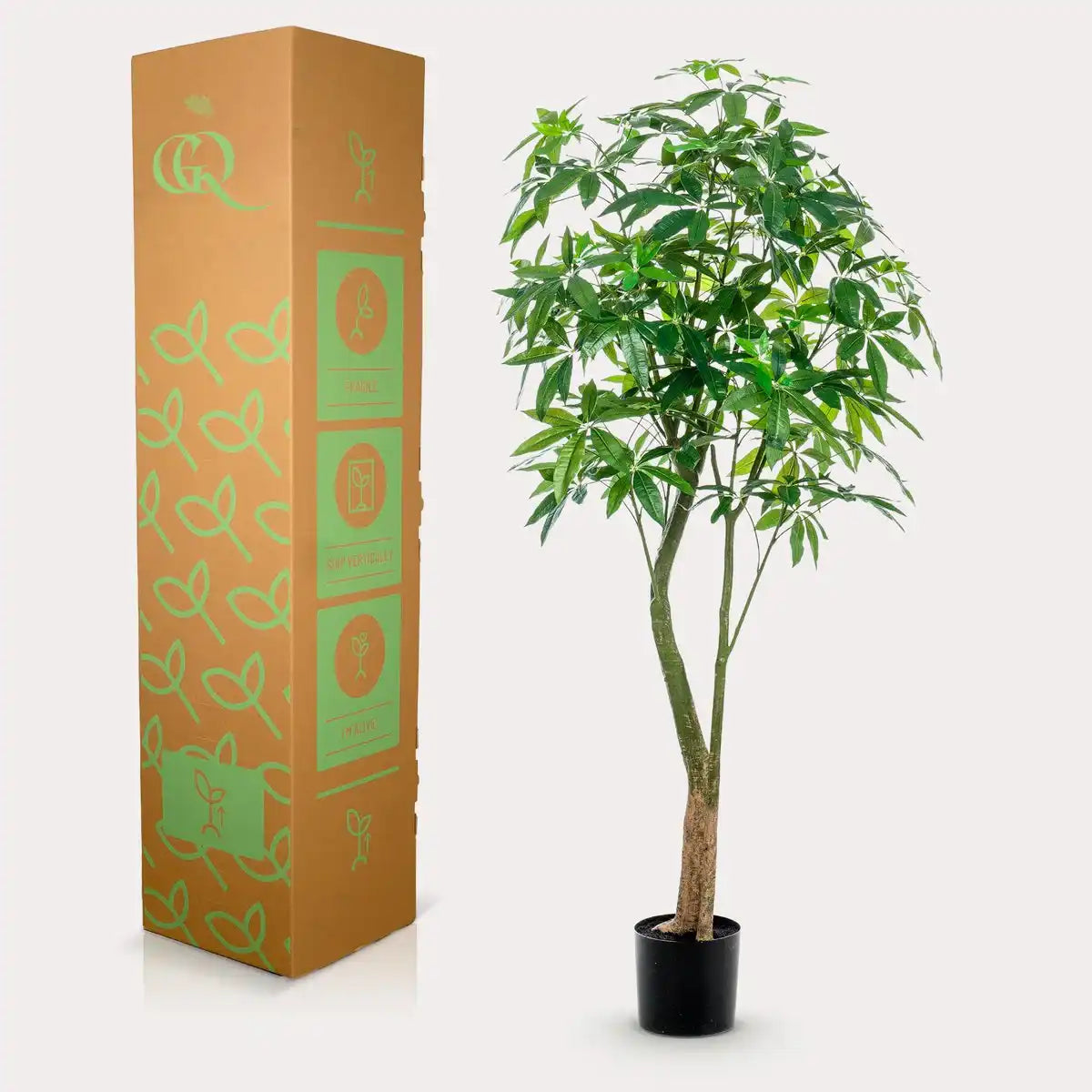 Künstliche Pflanze - Pachira aquatica - Geldboom - 180 cm