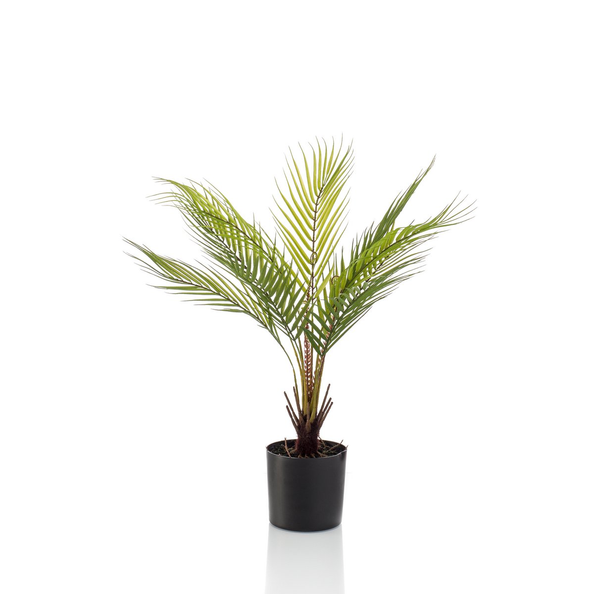 Kunstpflanze - Chamaedorea - Bergpalm - 50 cm
