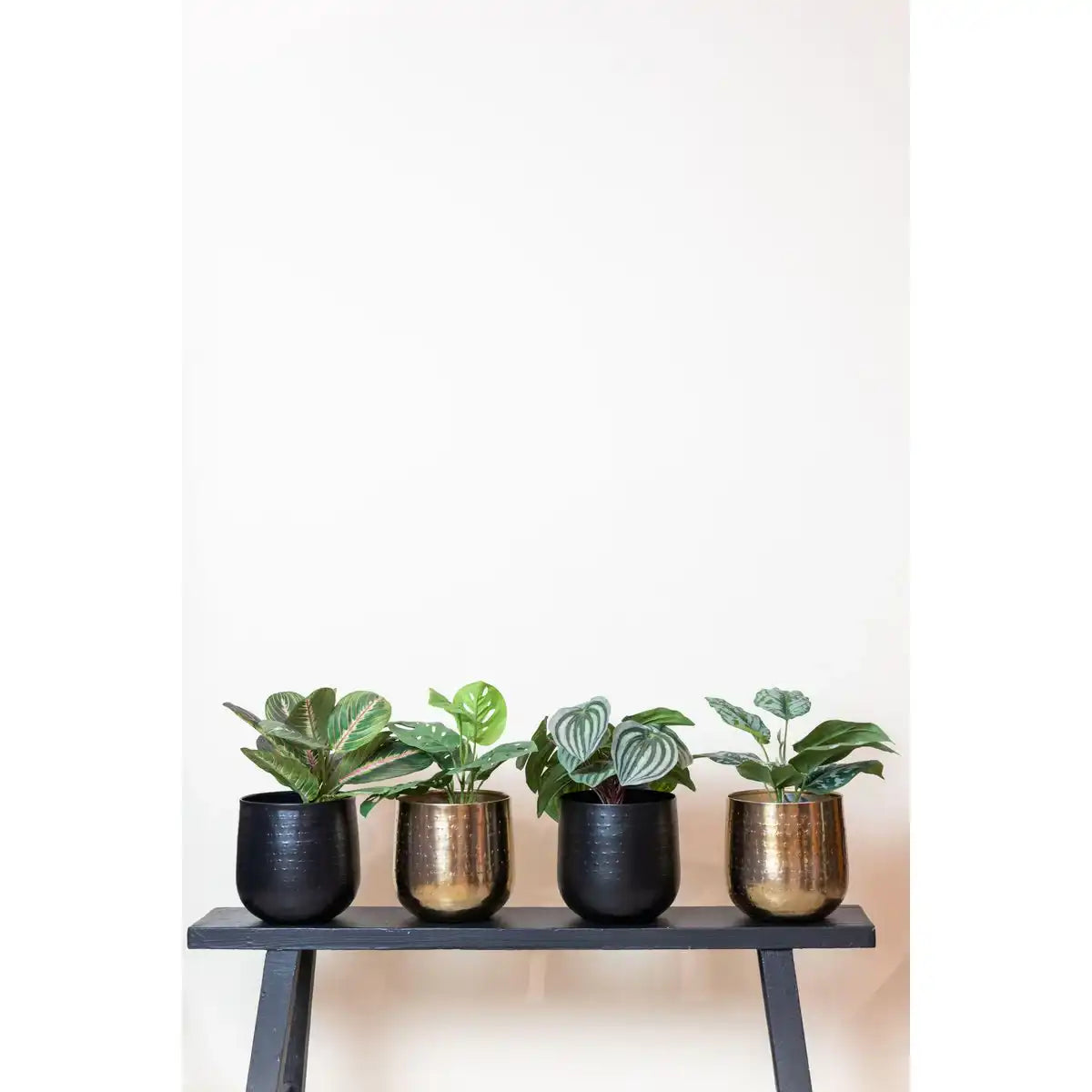 Künstliche Pflanze - Peperomia Argyreia - Wassermelone -25 cm