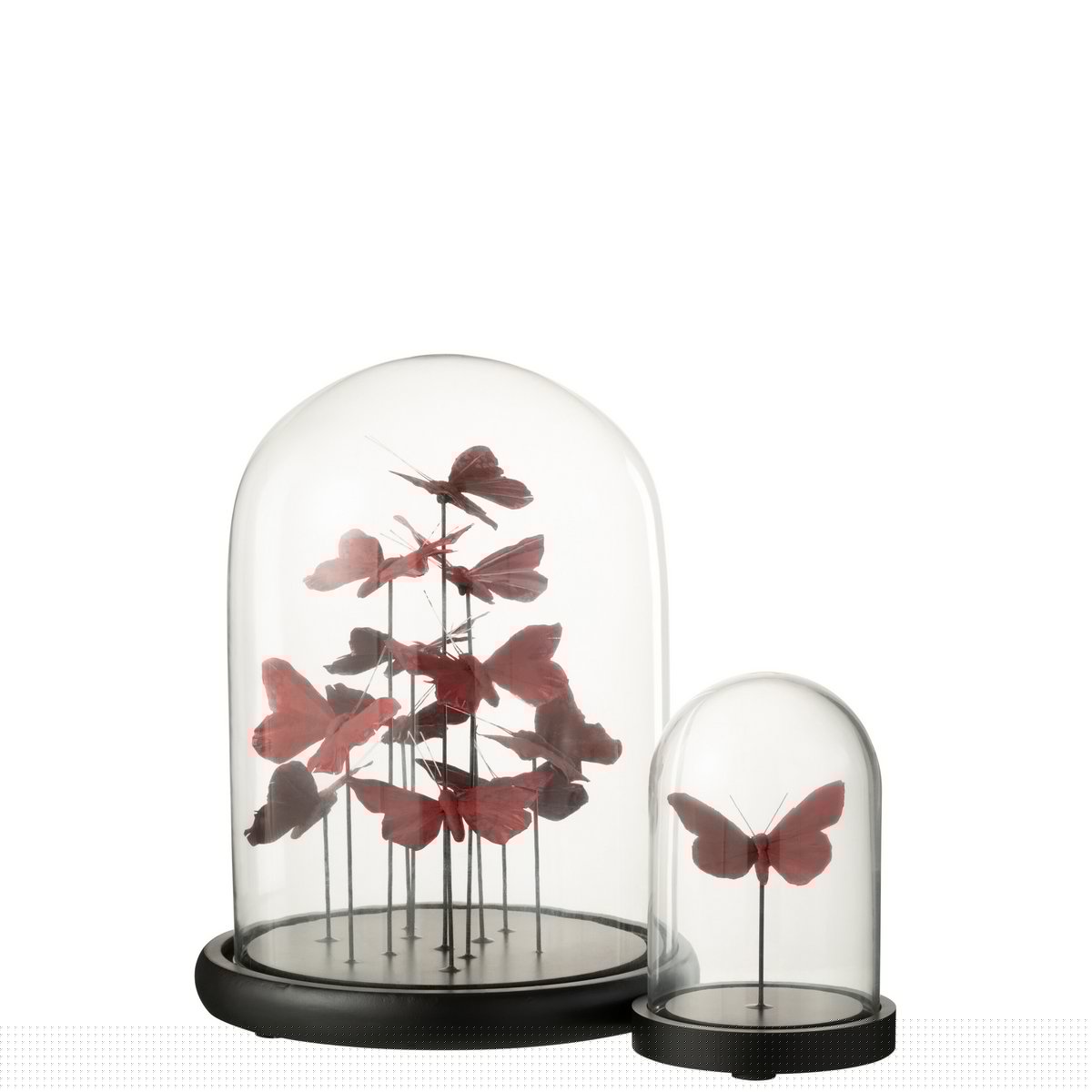 J-Line Glasglocke Butterflies – Glas – Rot/Burgunderrot – groß