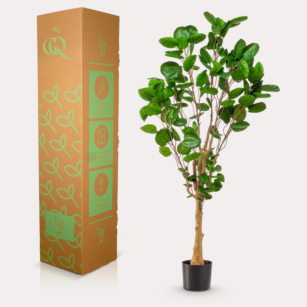 Kunstpflanze - POLYSCIAS - ARALIA - 150 cm
