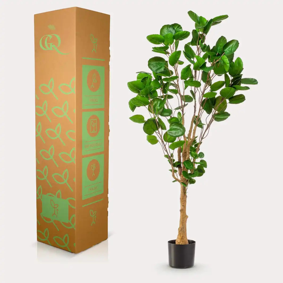 Kunstpflanze - POLYSCIAS - ARALIA - 150 cm