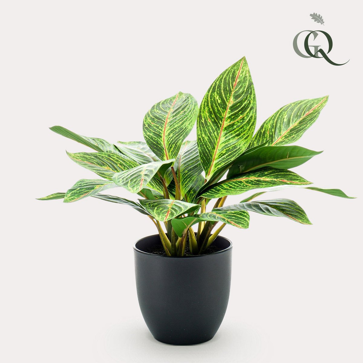 Kunstpflanze - Croton Codiaeum - Wonder Bush - 38 cm