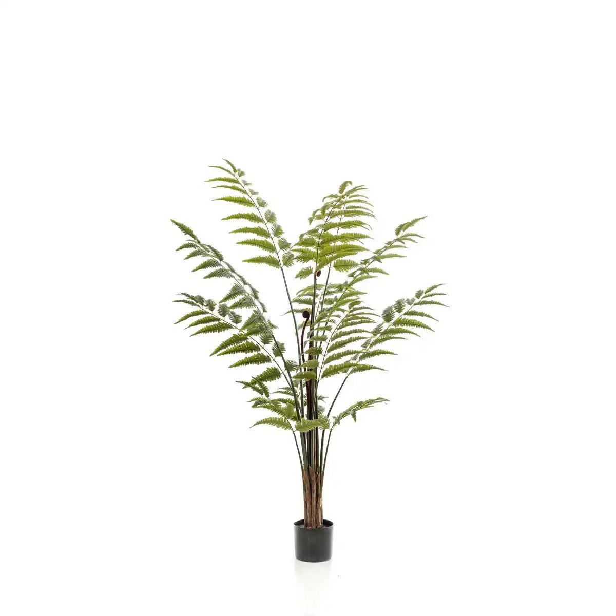 Kunstpflanze - Rumohra adiantiformis - Die Anführerin ändert sich - 150 cm