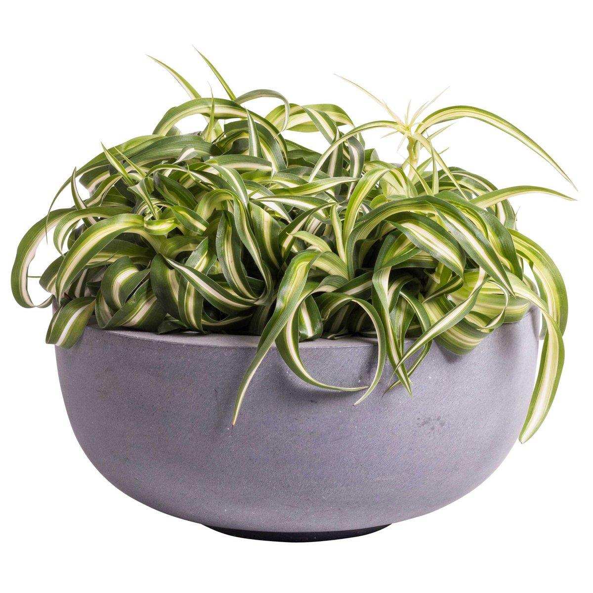Ducos S grau Ø33 x H15 cm - 2 Stück