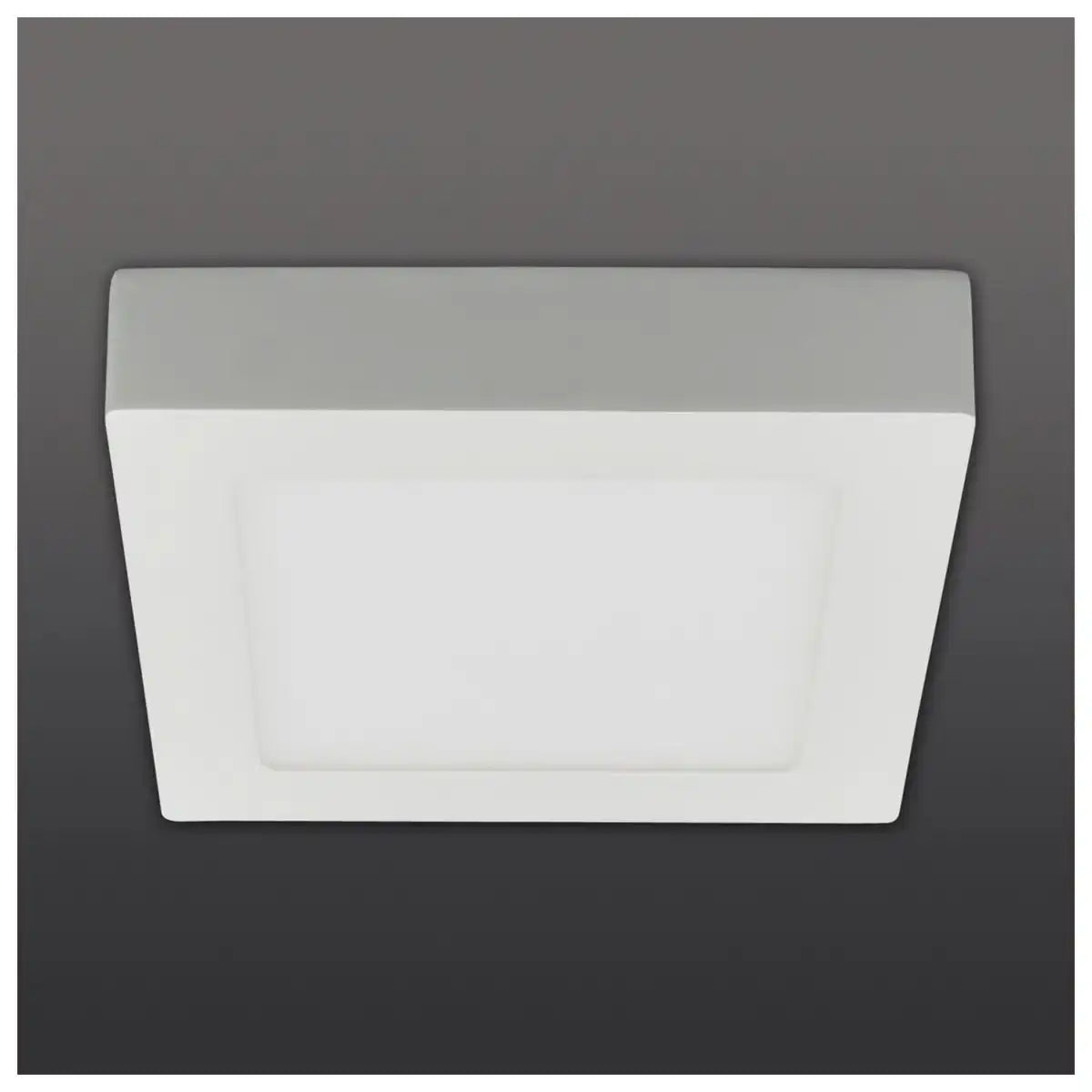 LED Deckenleuchte "SIMPLEX" s:17cm