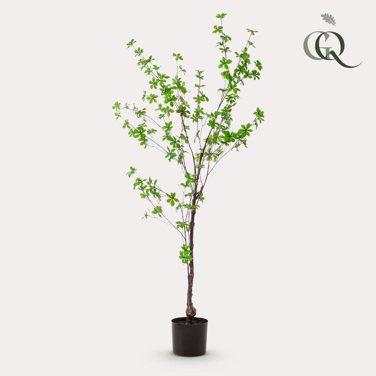 Kunstpflanze - Tropseolum attraktiv - Oost Indistent - 150 cm