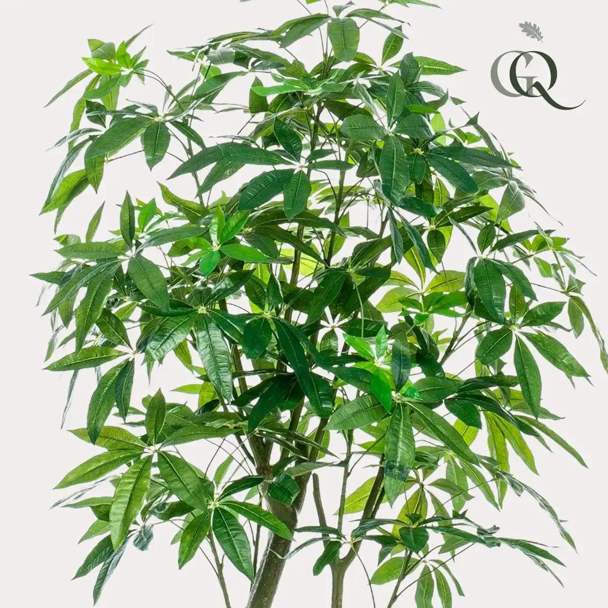 Künstliche Pflanze - Pachira aquatica - Geldboom - 180 cm