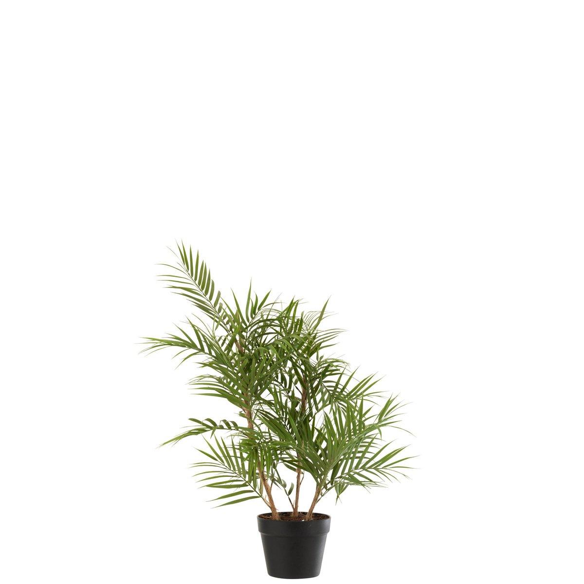 J-Line Bergpalme im Kunststofftopf Grün/Schwarz Klein