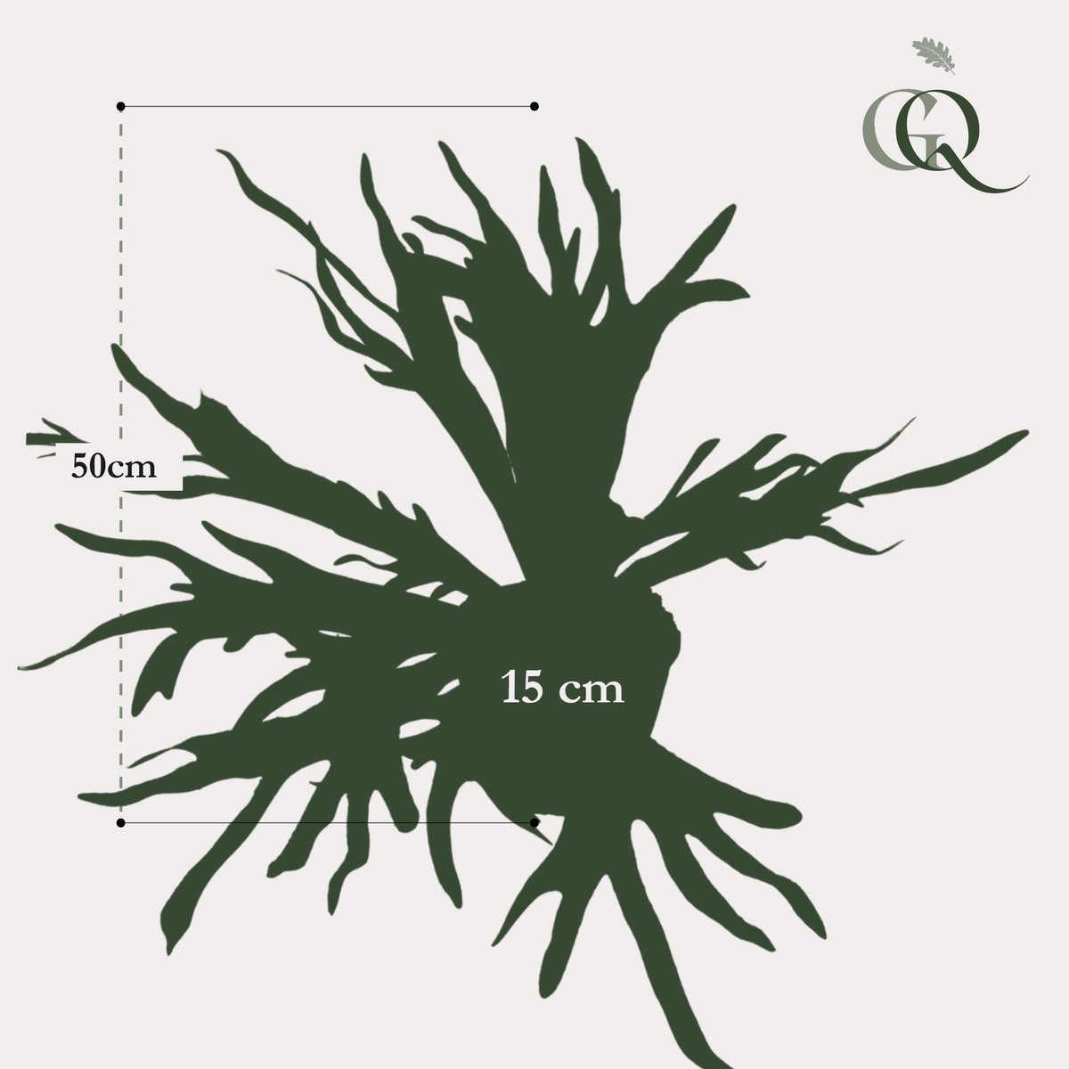 Kunstpflanze - Staghorn Fern - Hertshoorn - 50 cm