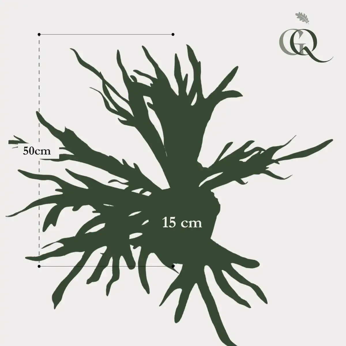 Kunstpflanze - Staghorn Fern - Hertshoorn - 50 cm