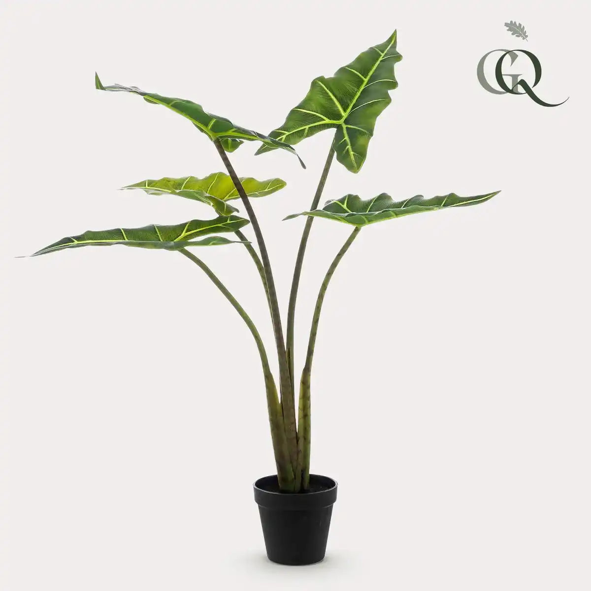 Kunstpflanze - Alocasia Frydek - Elefantenohr - 80 cm