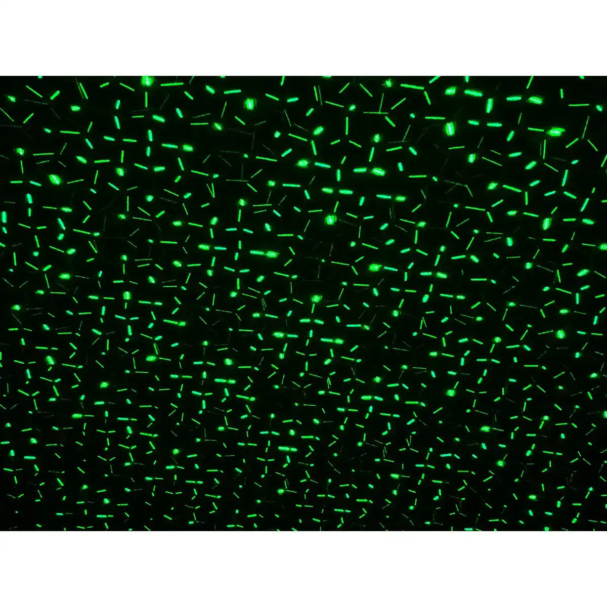 Laser-Außenerdspieß m. Projektor , Erdspieß aus Kunststoff, bunt, mit integrierter LED, Strahler für Außen