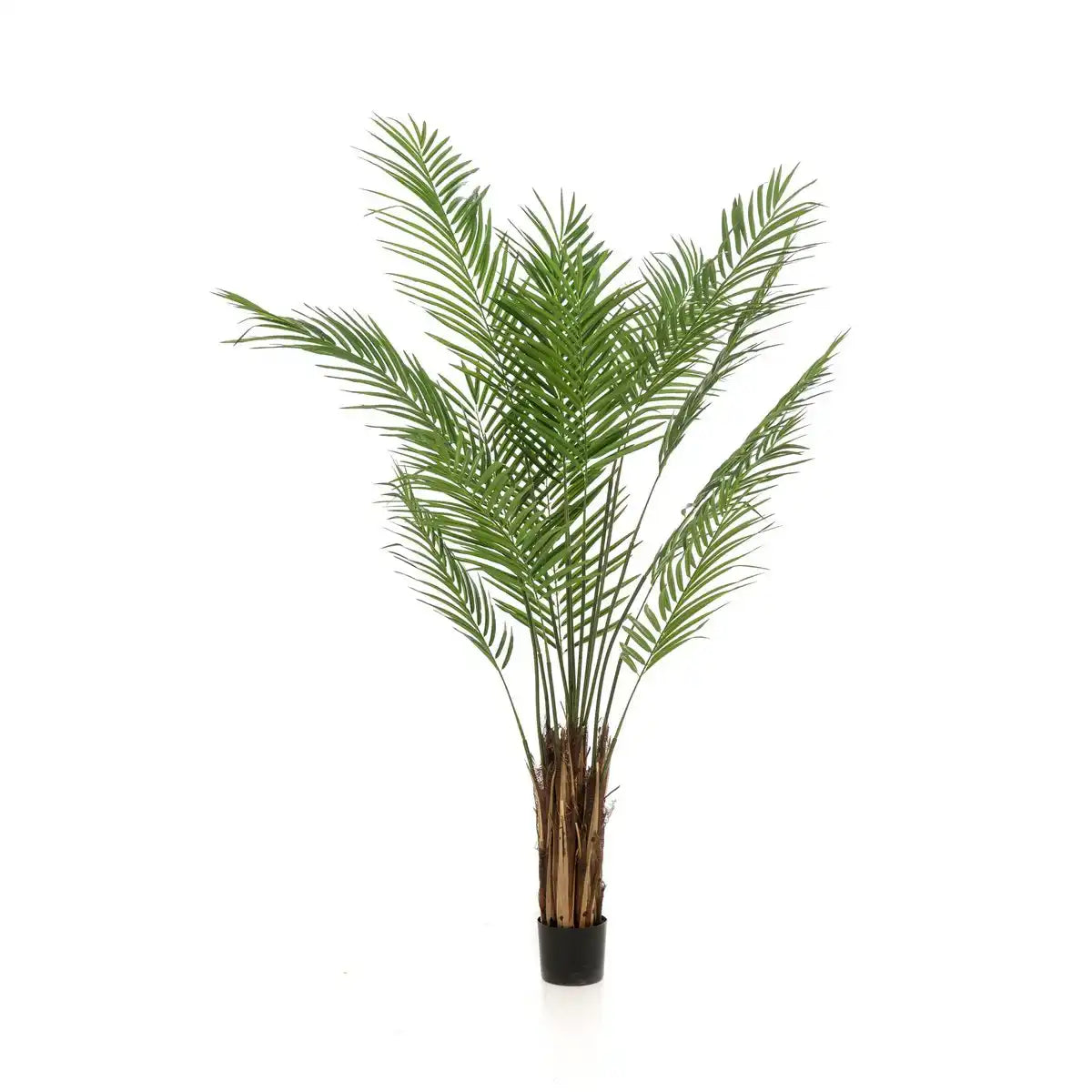 Kunstpflanze - Areca Lutescens - Goldpalme - 180 cm