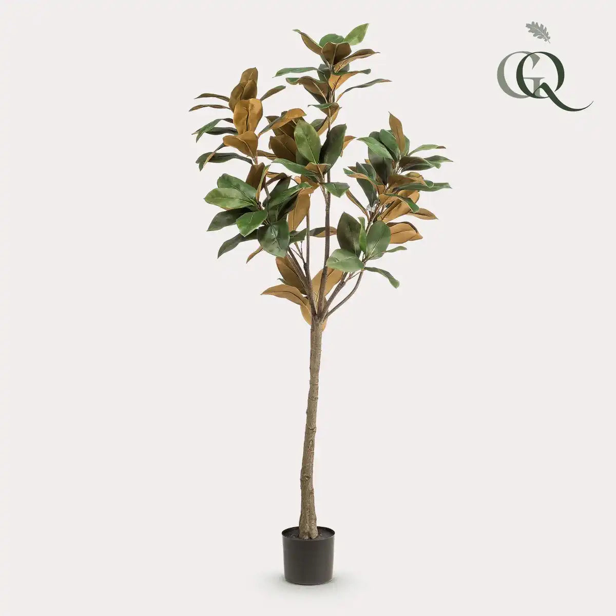 Künstliche Pflanze - Magnolia Grandiflora - 150 cm