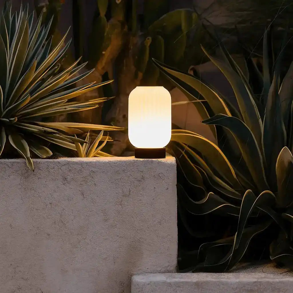 Lilly Dark Brown einzigartige wiederaufladbare Lampe - gefrostete Glaslampe, Holzbasis, dimmbar, 3 helle Modi
