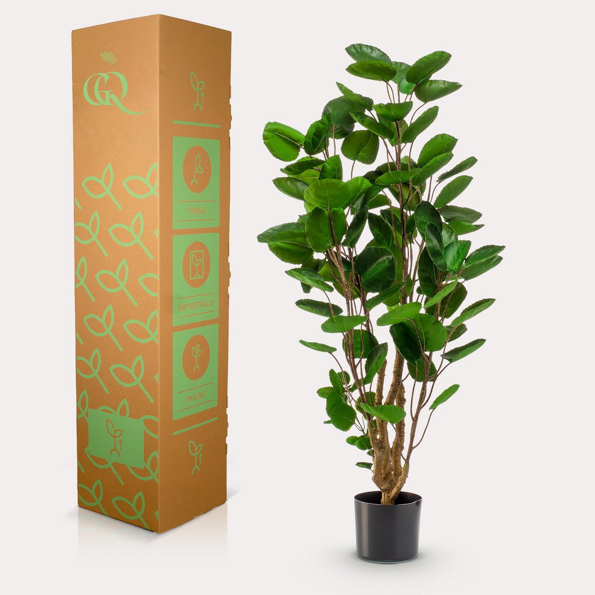 Kunstpflanze - POLYSCIAS - ARALIA - 105 cm