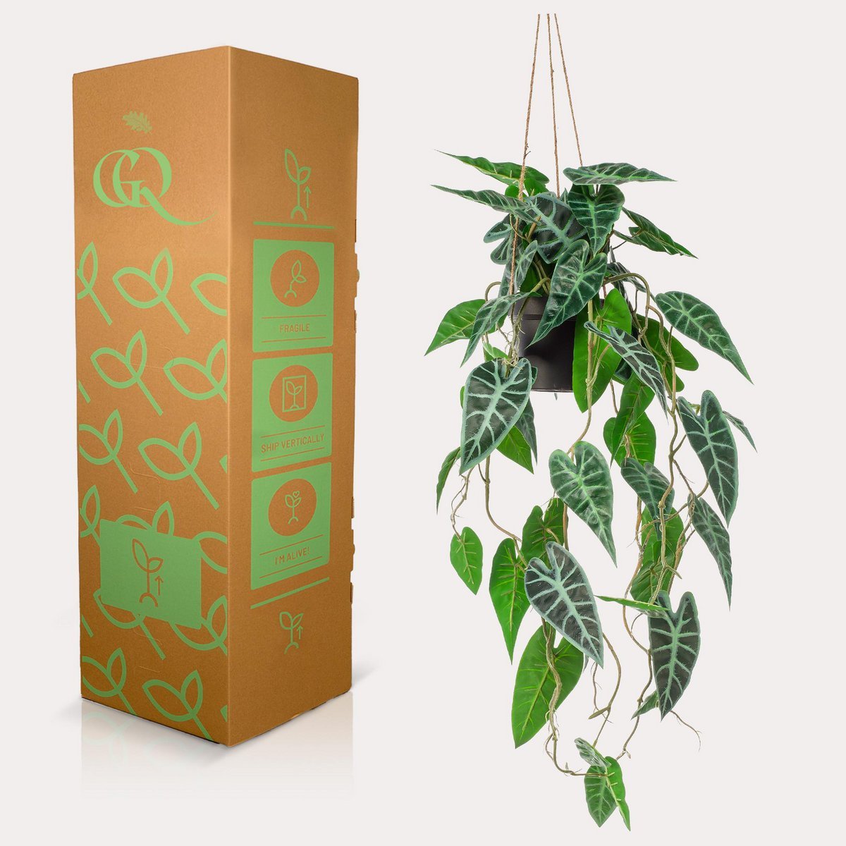 Kunstpflanze - Alokasie - Elefantenohr - 80 cm