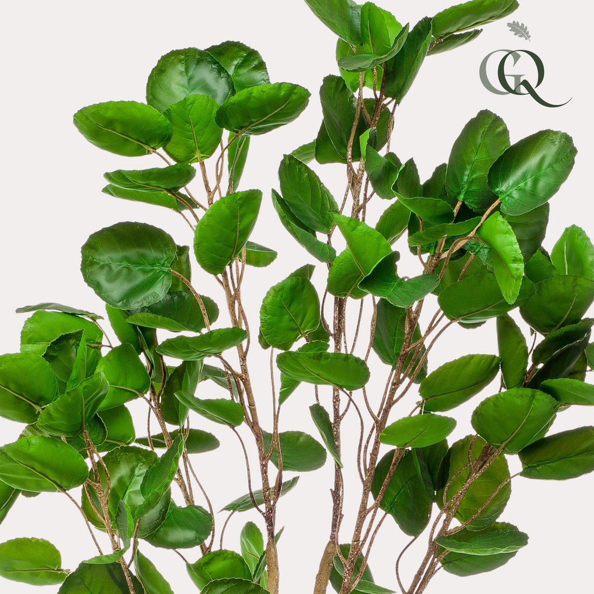 Kunstpflanze - POLYSCIAS - ARALIA - 150 cm