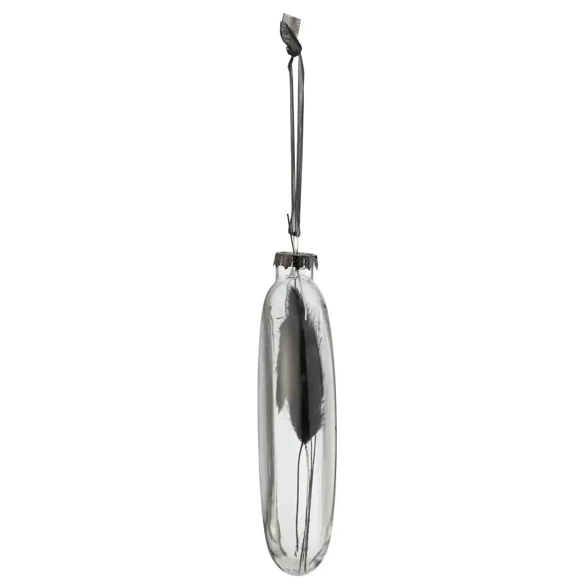 J-Line Box mit 4 Weihnachtskugeln, oval, flach, getrockneter Hasenschwanz, schwarzes Glas, transparent, groß
