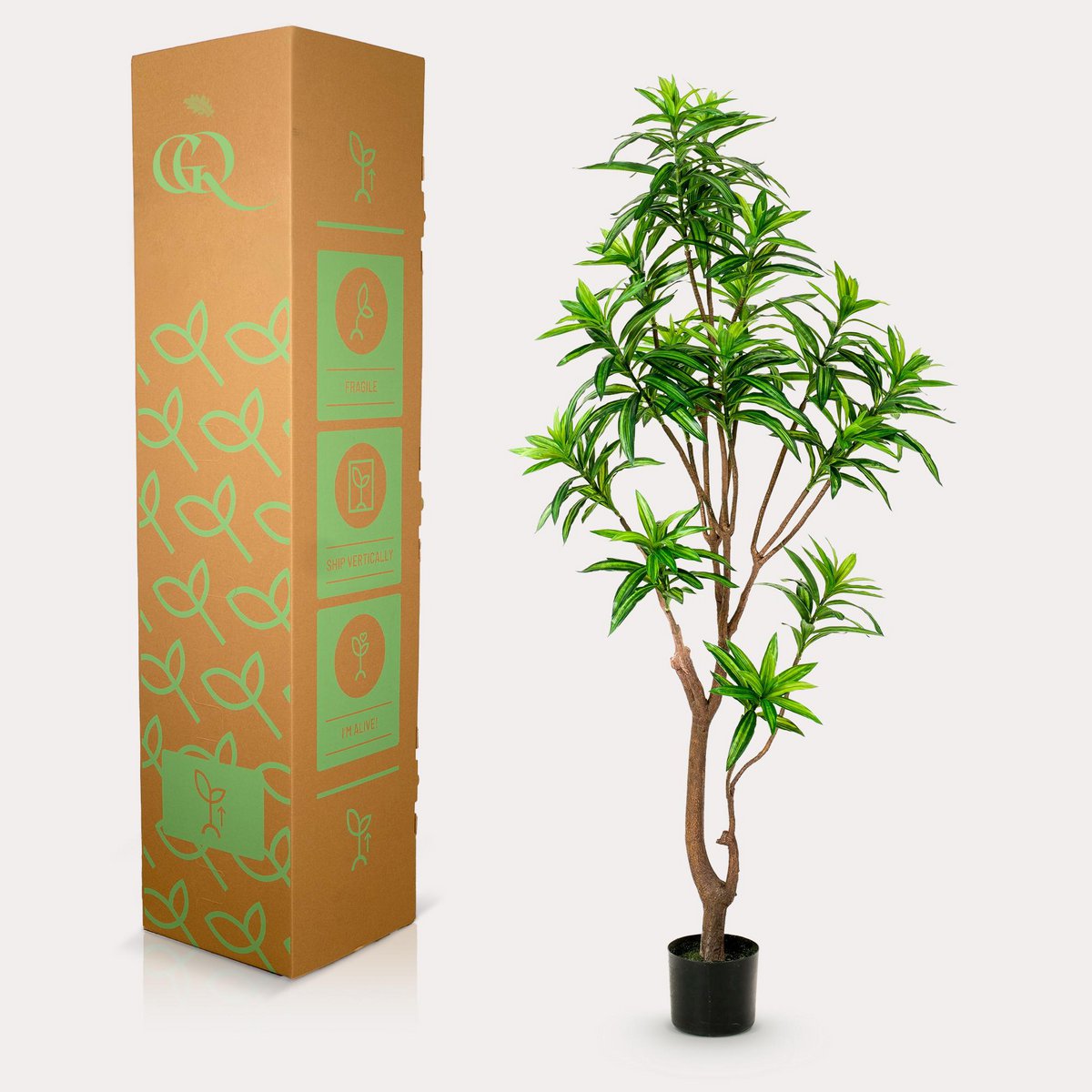 Künstliche Pflanze - Dracaena - Drachenbaum - 155 cm