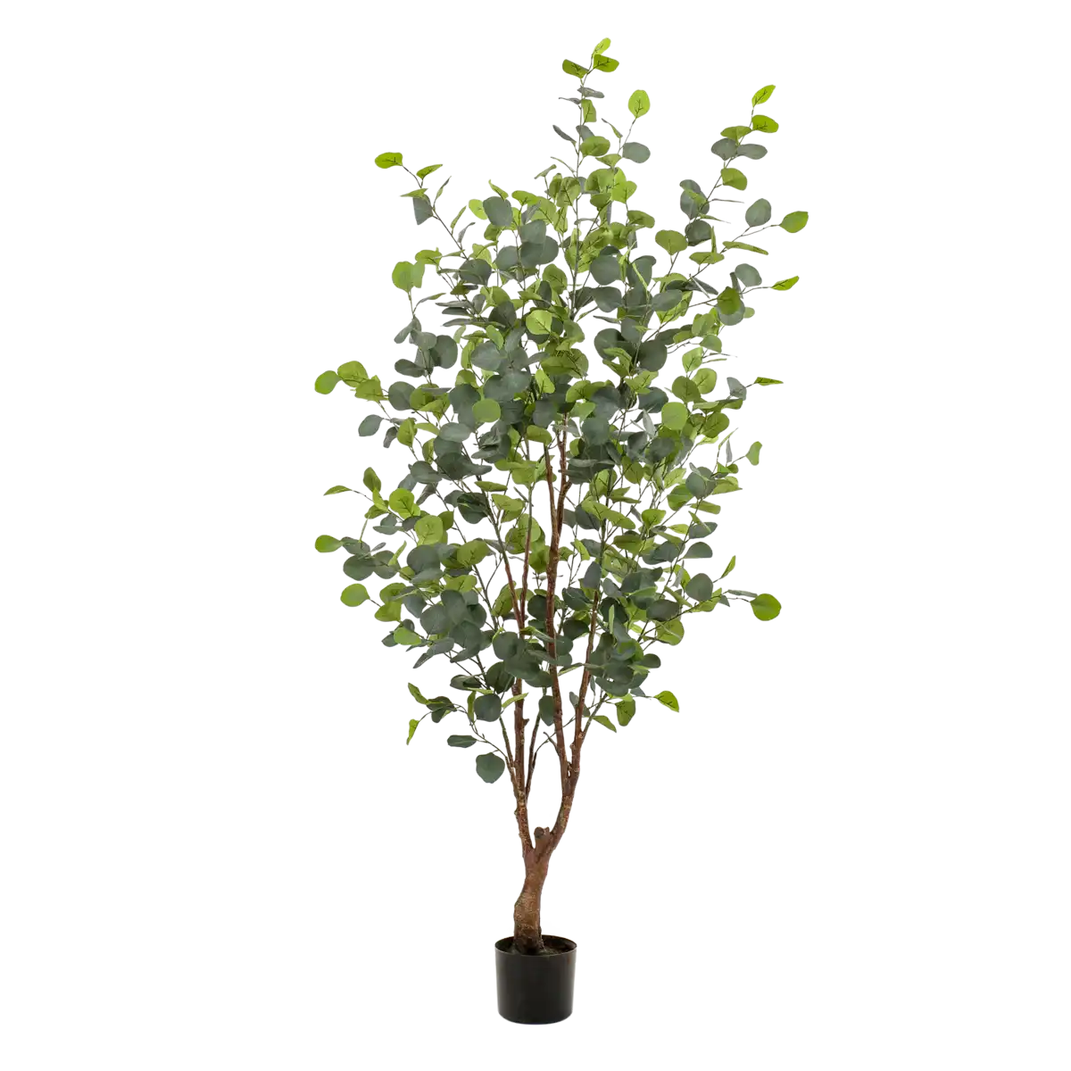 Künstliche Pflanze - Eukalyptus - Blue Gum Tree - 140 cm