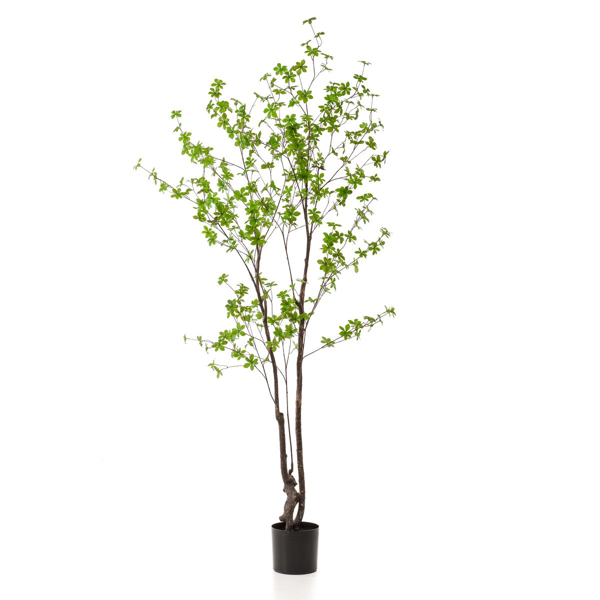 Kunstpflanze - Tropseolum - Oost Indistent - 210 cm
