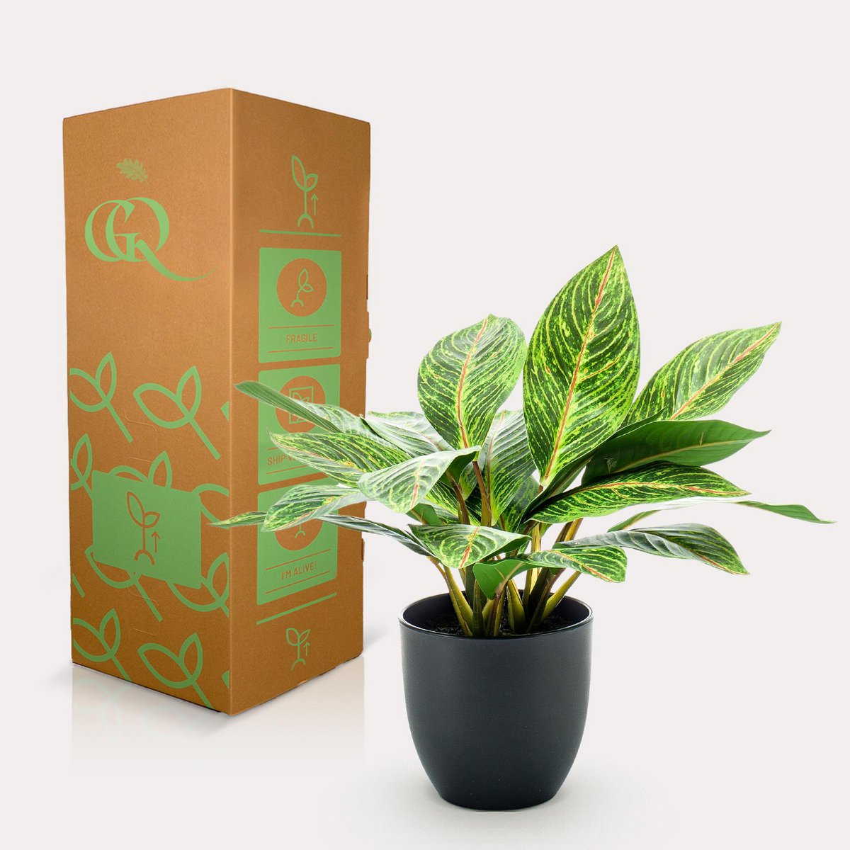 Kunstpflanze - Croton Codiaeum - Wonder Bush - 38 cm