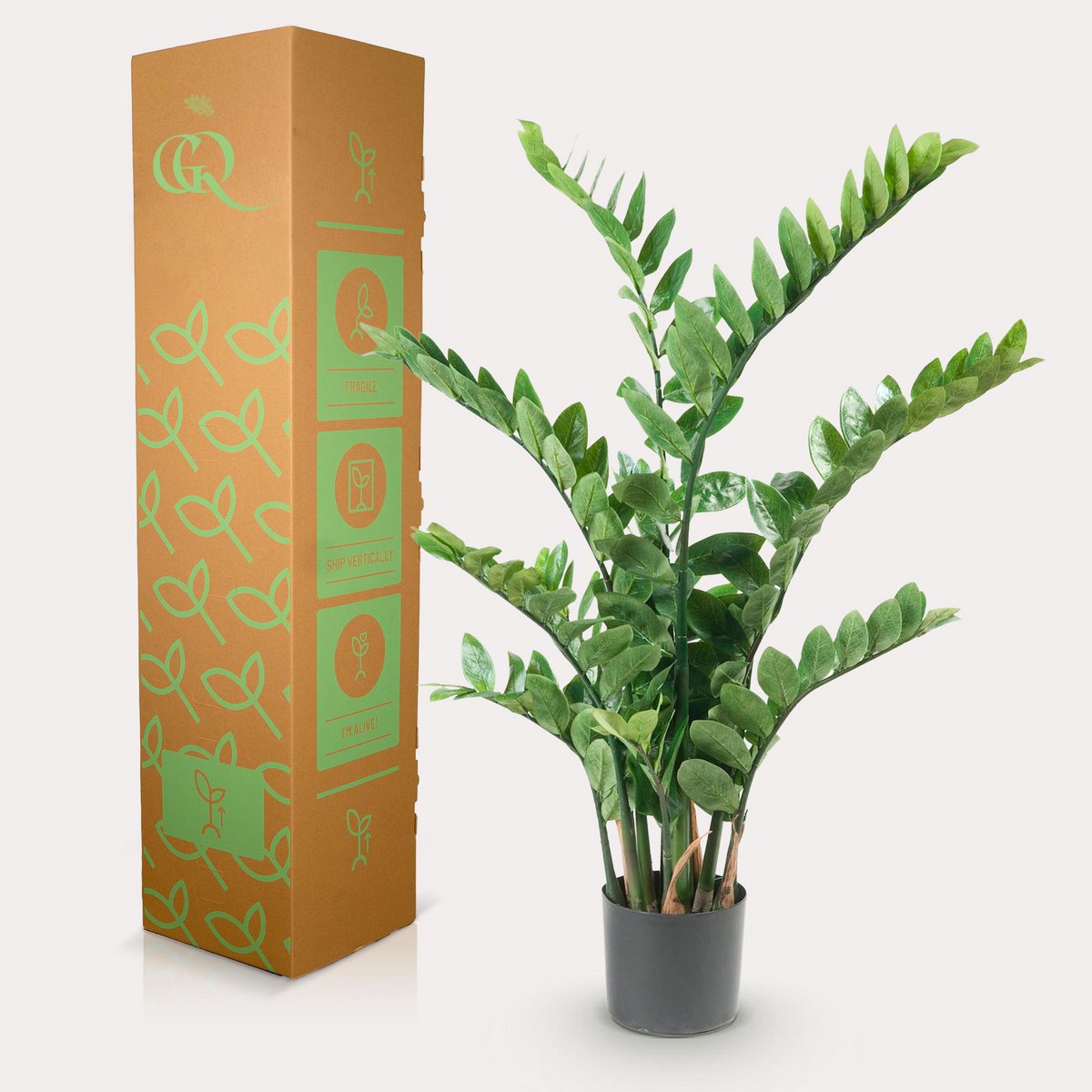 Künstliche Pflanze - Zamioculcas - Stadtpalme - 110 cm